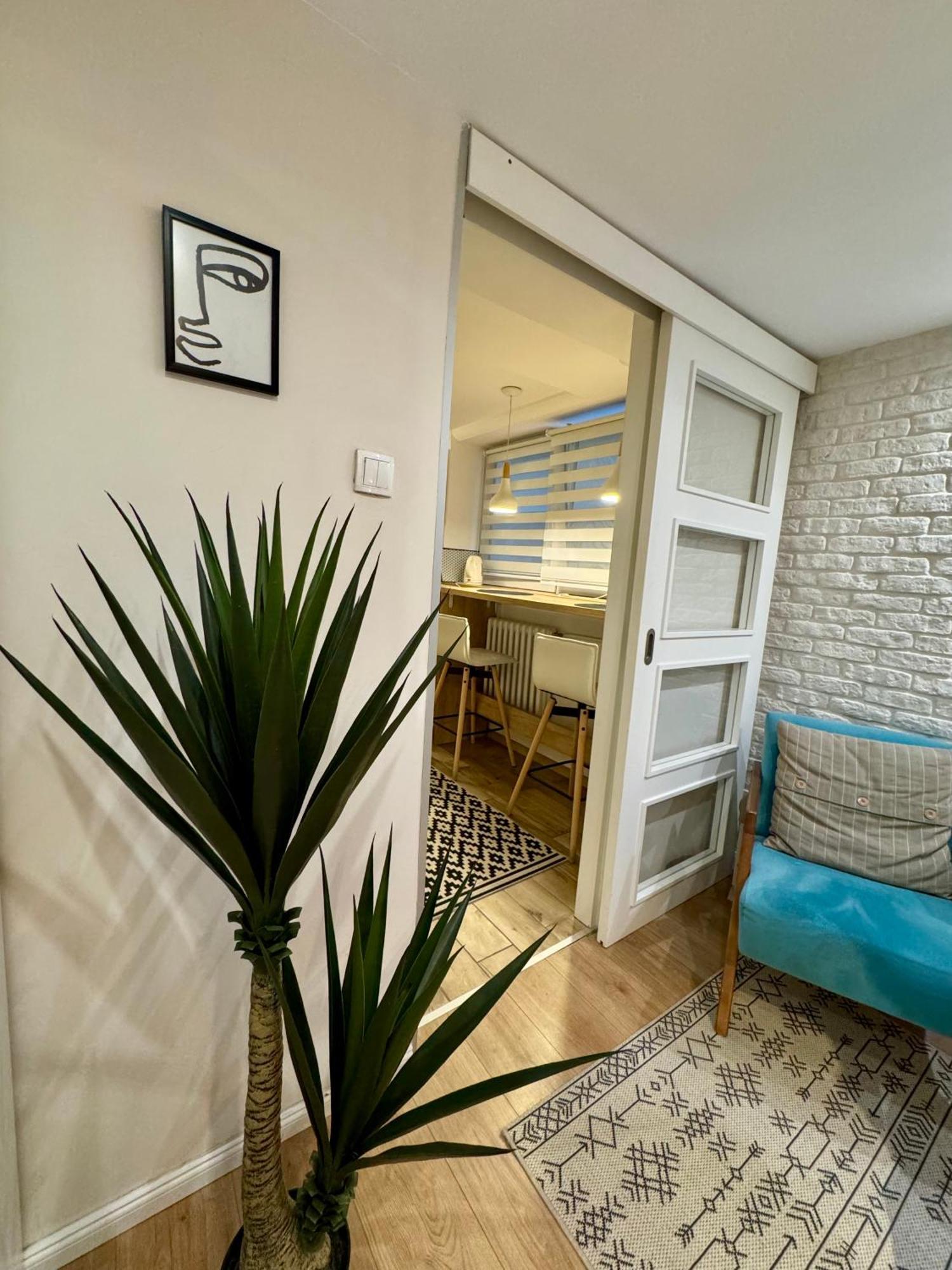 דירות בלגרד Cozy Haven מראה חיצוני תמונה